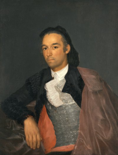 Portrait of the Matador Pedro Romero by Francisco de Goya